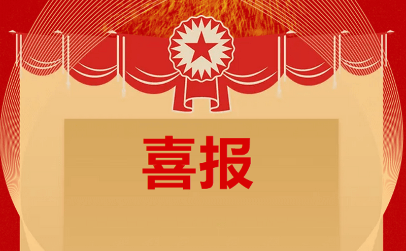 会员风采录：热烈：匚一岣被岢さノ还愣欧⒐蕌8化学股份有限公司荣获2024年广东省服务型制造示范企业！
